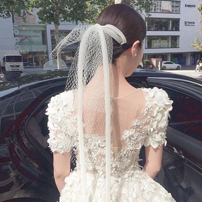 Simple Veil, Bow Shape, Travel Shoot Short Veil For Wedding Dress, Double Mesh Light Luxury Headdress Accessories